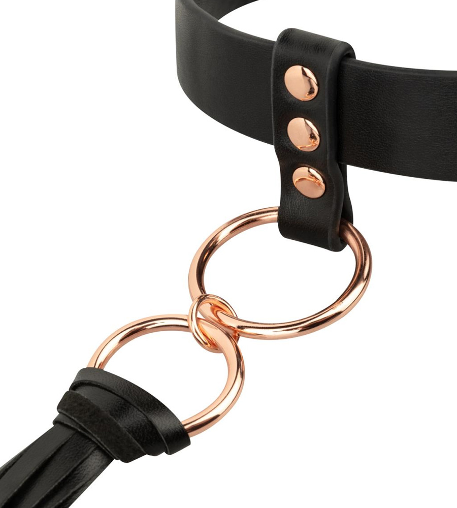 Rosy Gold Collar With Flogger – ovratnik i bič - image 5
