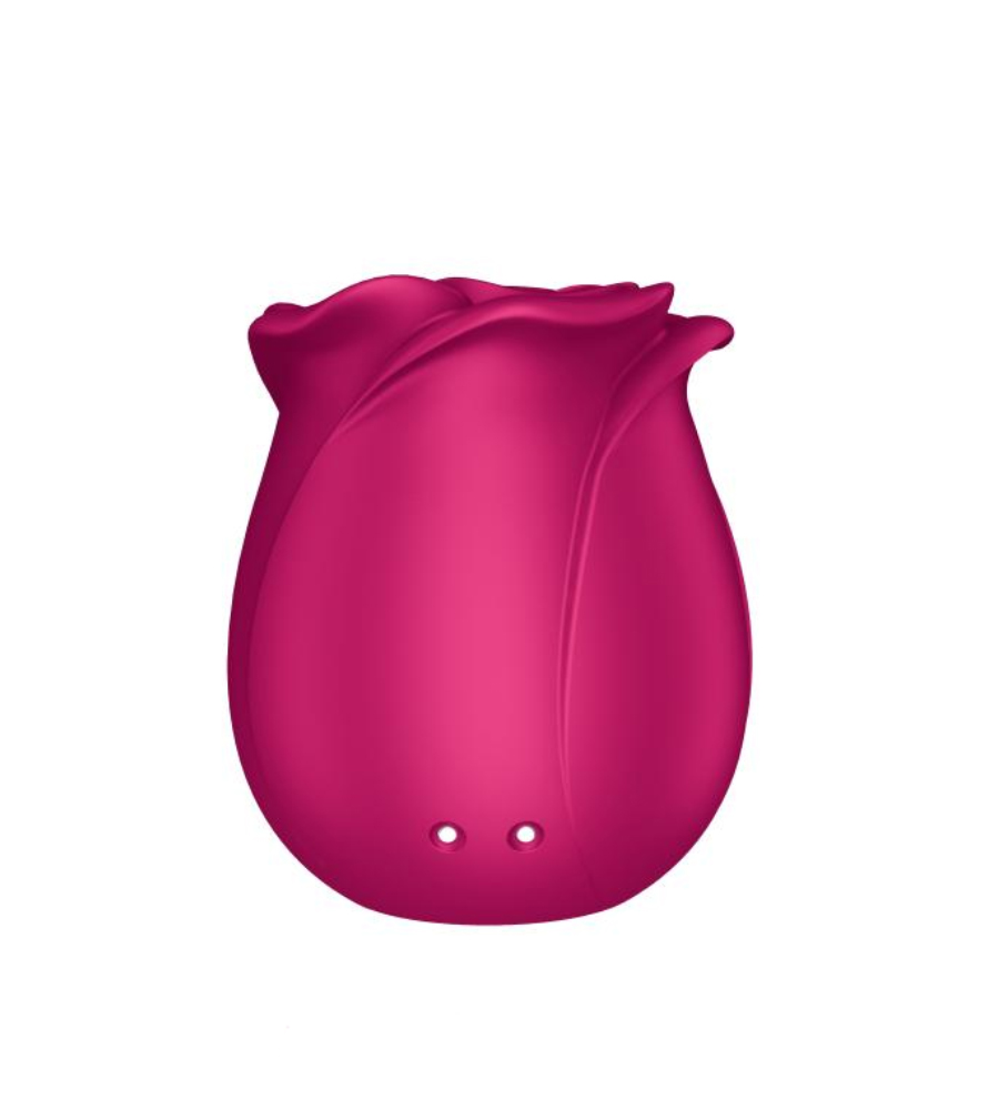 Satisfyer Pro 2 Classic Blossom – zračni masažer klitorisa - image 5
