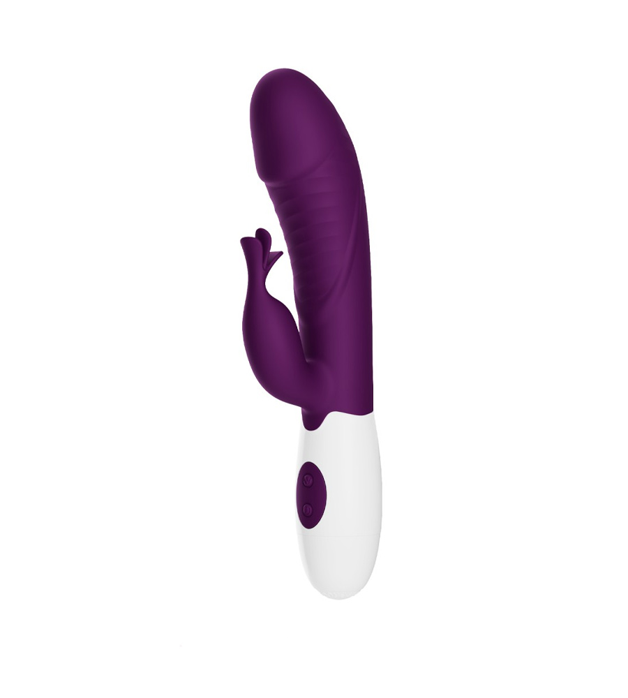 Pretty Love Rasmussen Purple – silikonski rabbit vibrator, 19.8 cm